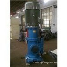 Lyb Vertical Marine Circular Gear Pump